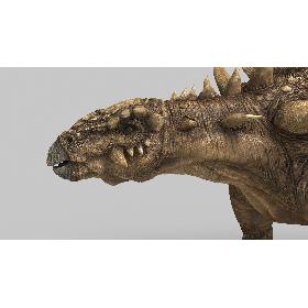 Polocanthus 3D model